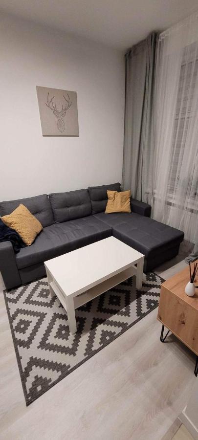 Apartament Na Kochanowskiego Stary Toruń Εξωτερικό φωτογραφία